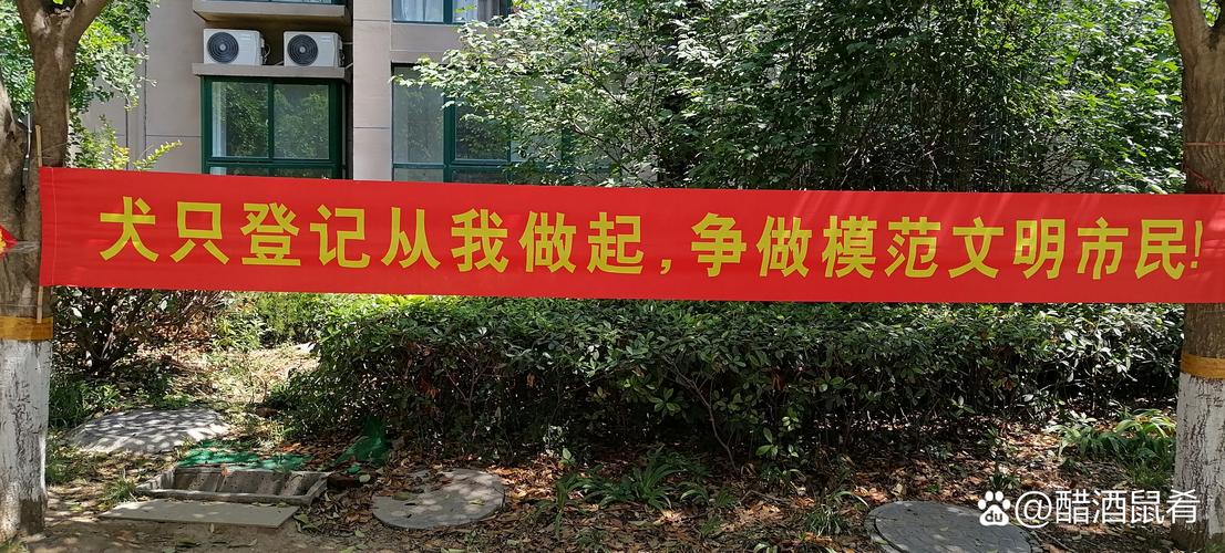 小善康养管理